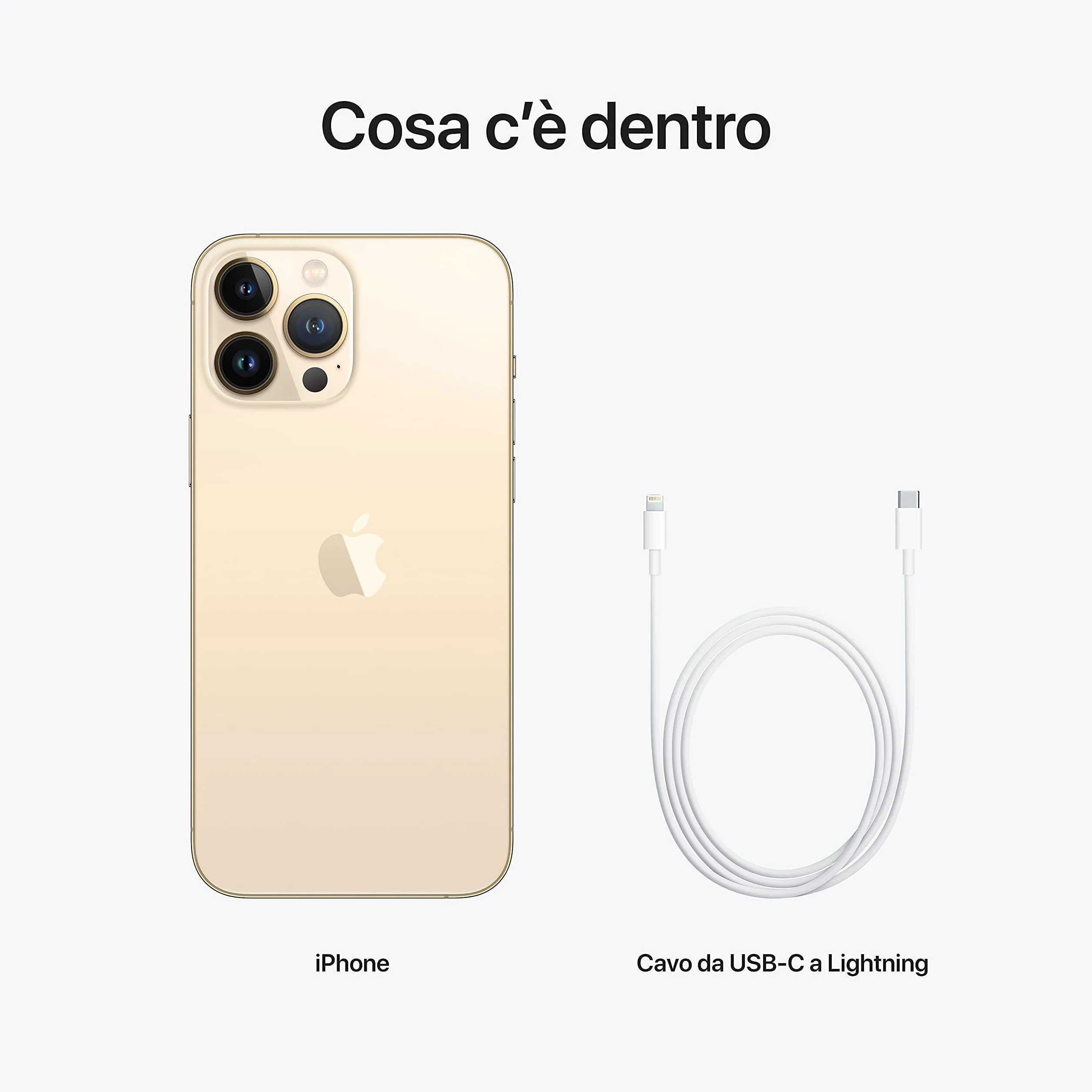 Apple iPhone 13 Pro MAX 256 GB - Oro (Reacondicionado)