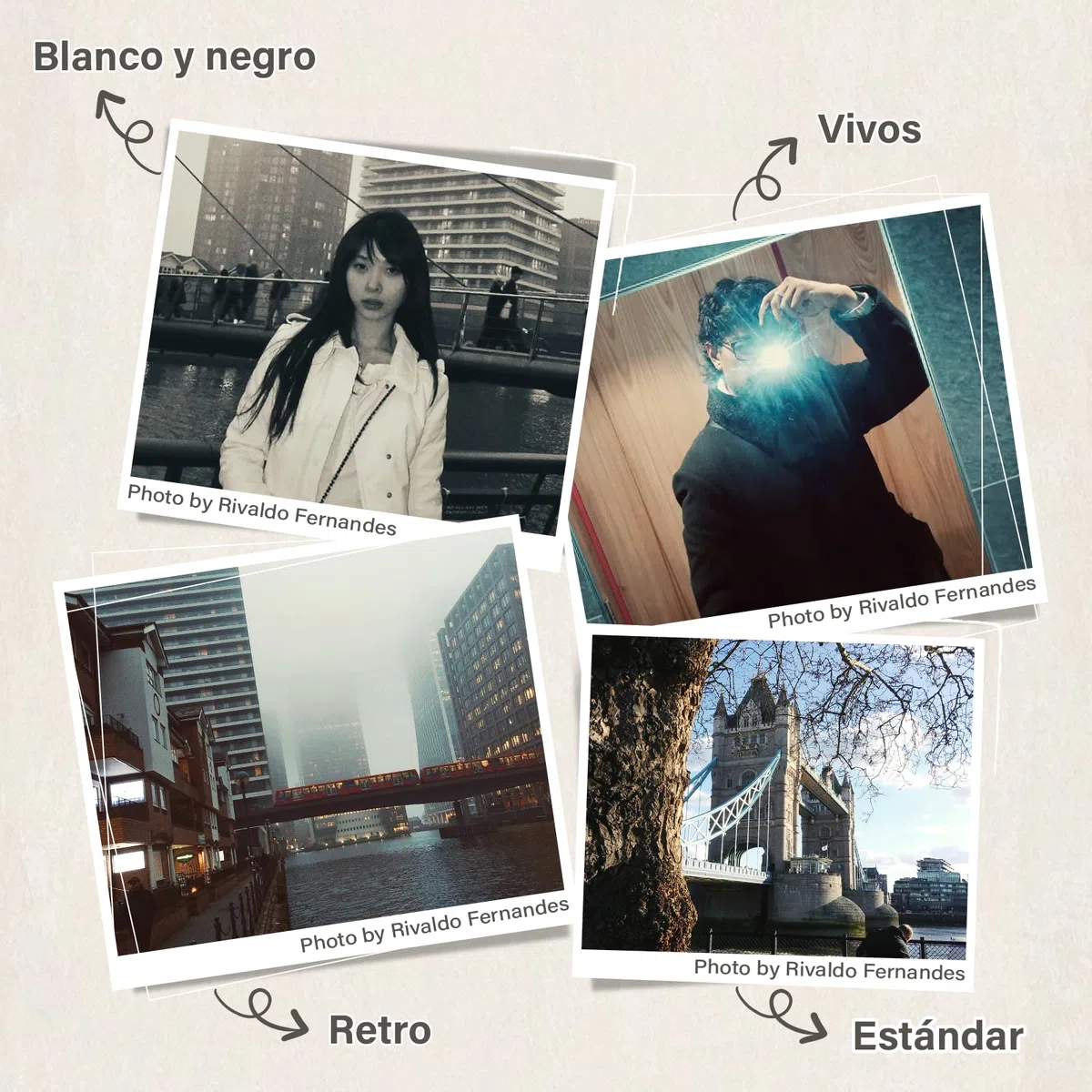 Maxmango D53 Cámara Digital de Estilo Retro sin Pantalla, 12 MP Filtros DIY, Cámara Digital compacta sin Pantalla con Tarjeta SD de 8 GB para 4000 Fotos (Marrón)