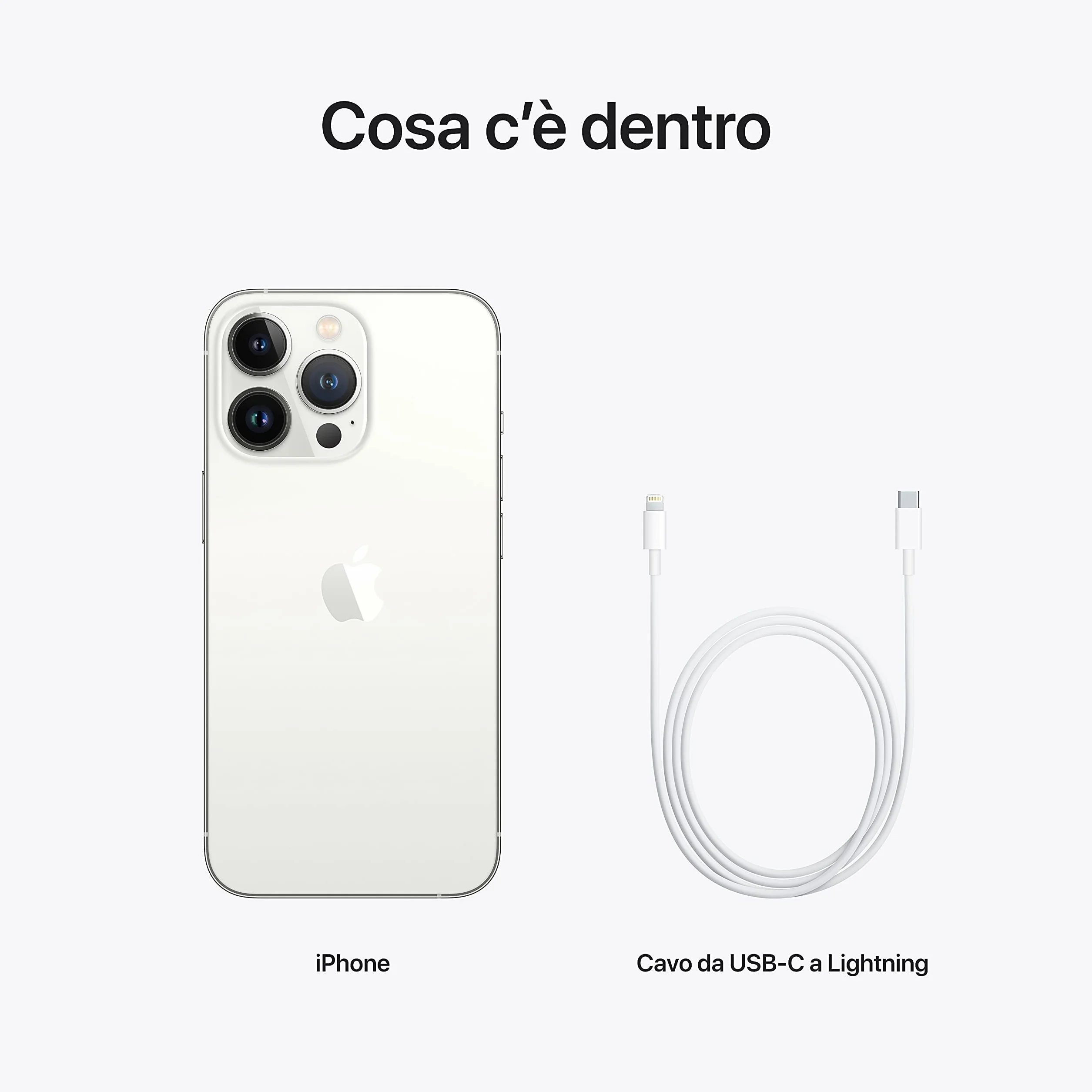 Apple iPhone 13 Pro 256 GB - Plata (Reacondicionado)